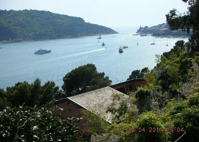 Bouganville