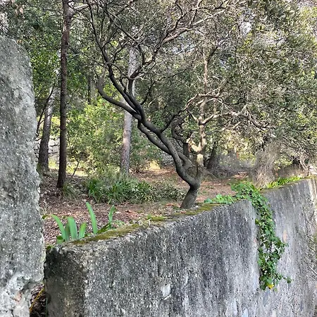 Bouganville Porto Venere