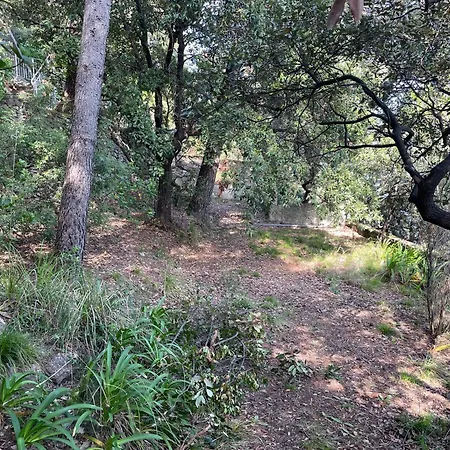 Bouganville Appartement Porto Venere