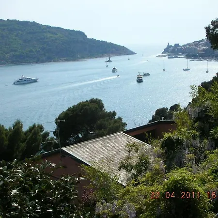 Bouganville