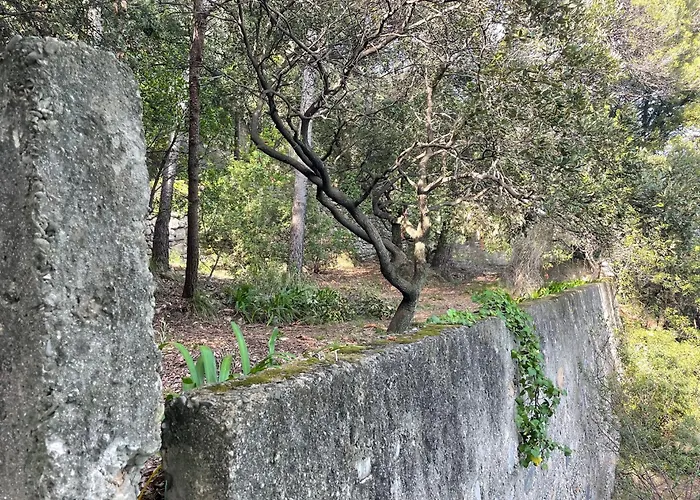 Bouganville Портовенере