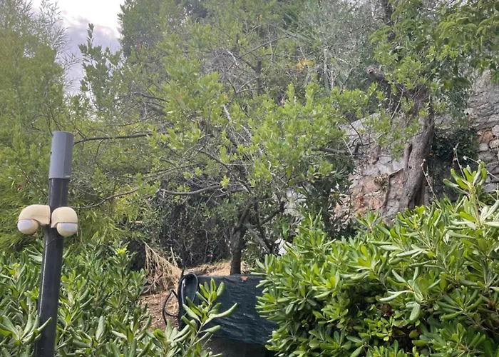 Bouganville Апартаменты *