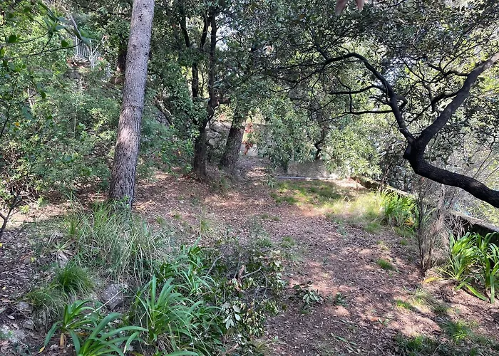 Bouganville Апартаменты Портовенере