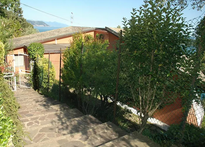 Bouganville *